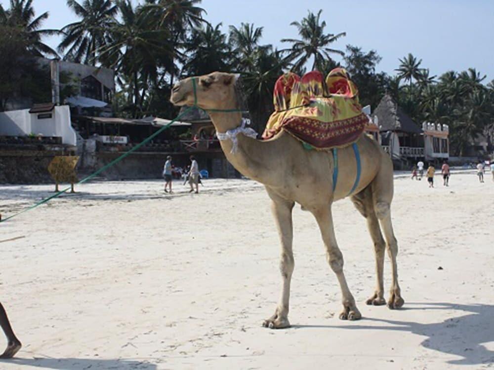 Kenya Bay Beach Hotel Bamburi Kültér fotó